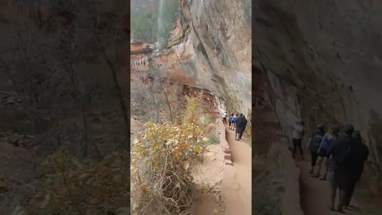 Zion National Park | Lower Emerald Pool