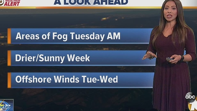Angelica's Forecast