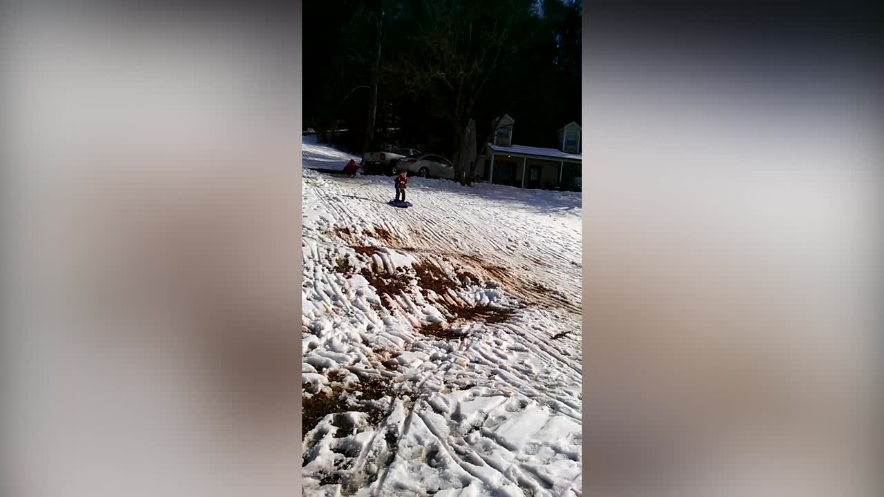 Sled Surfing Mud Pie