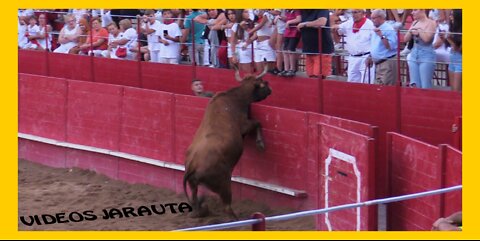MILAGRO ( NAVARRA ) TARDE VACAS PLAZA ( DOMINGO 11 SEPTIEMBR 2022 ) MERINO