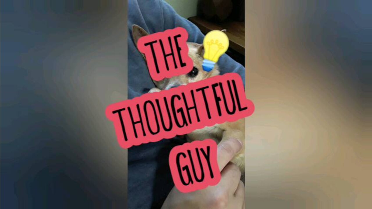 The Thoughtful Guy (To love yourself)