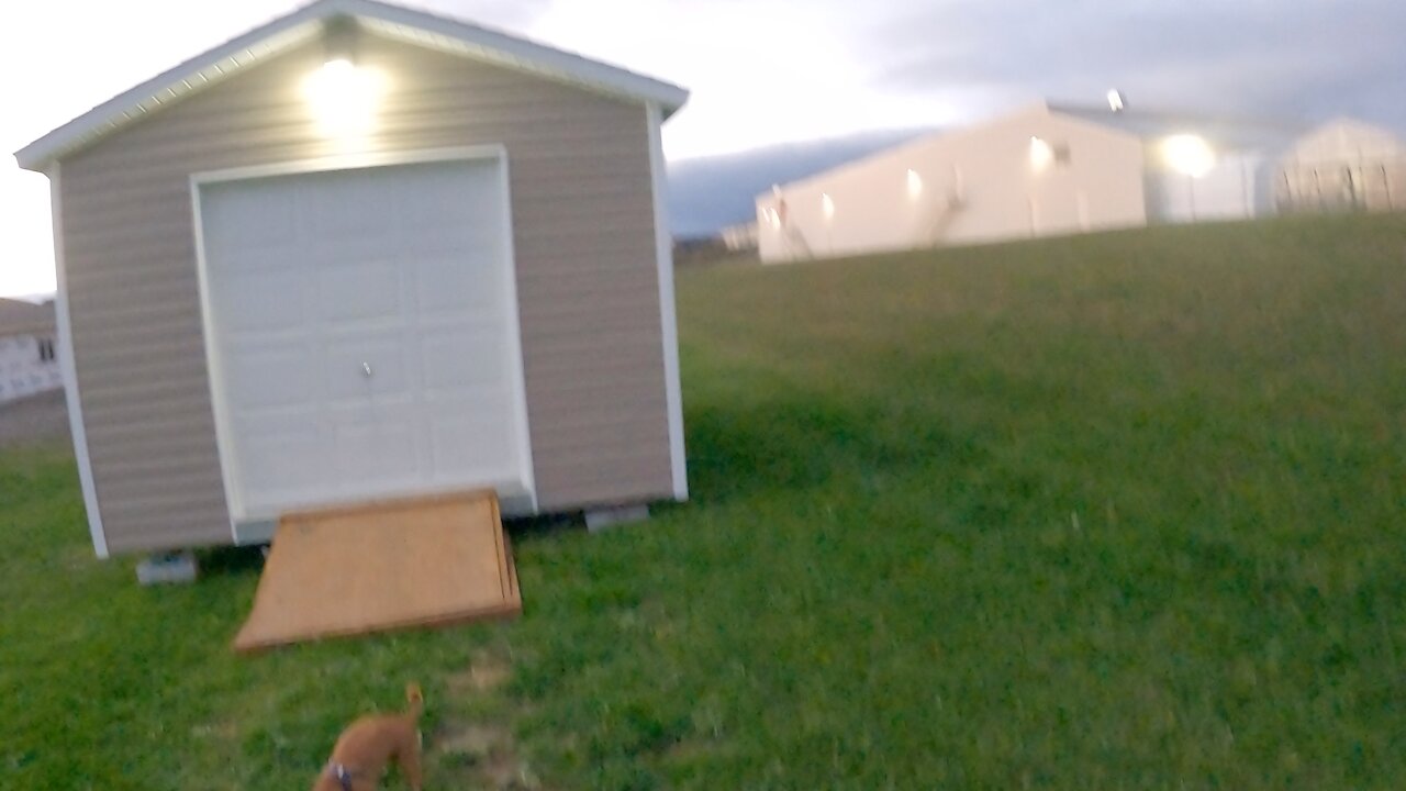 Sheds in good shape