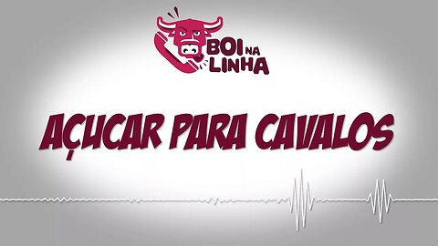 Boi na Linha: açúcar para cavalos
