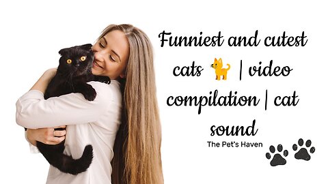Funniest and cutest cats 🐈 | cute cat video compilation | cat sound