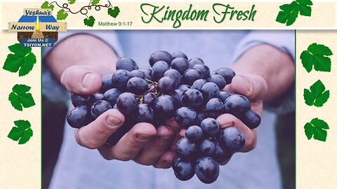 Yeshua's Narrow Way - Kingdom Fresh - Matthew 9