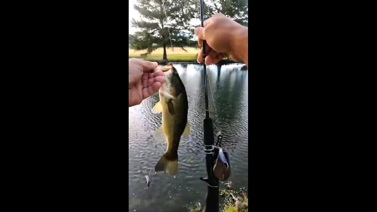 Ultralight Baitcasting