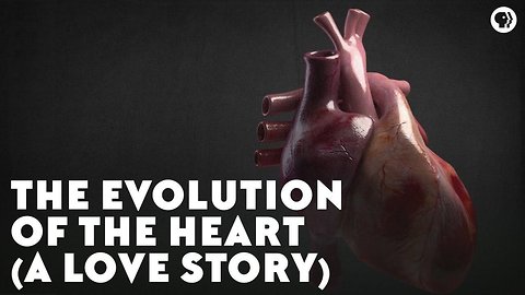 The Evolution of the Heart (A Love Story)