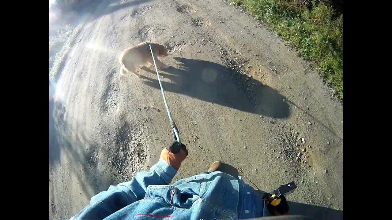 August 28th, 45º it took Flynn three attempts to get me out of bed.