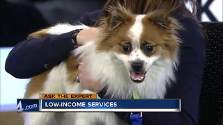 Ask the Expert: Low-income services at Wisconsin Humane Society