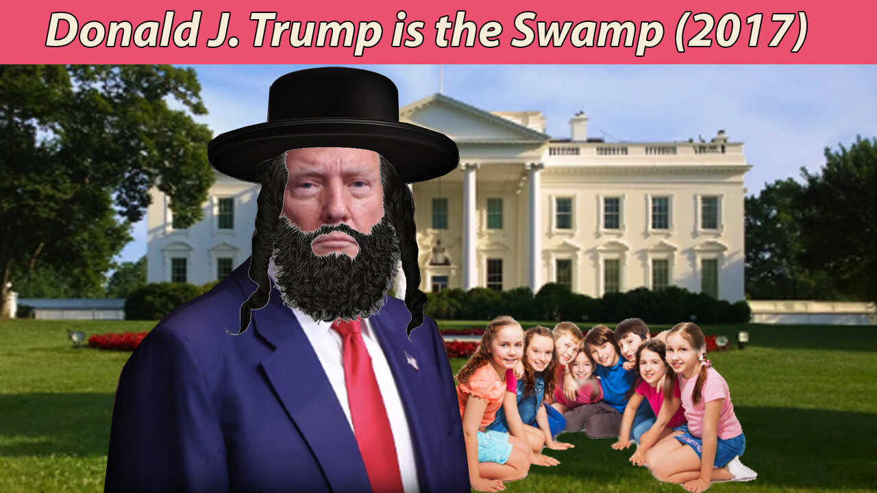 Donald J. Trump is the Swamp (2017)