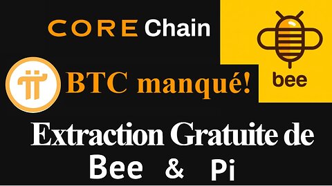Gagner crypto minage Bee Network kyc walllet mainnet millionnaire