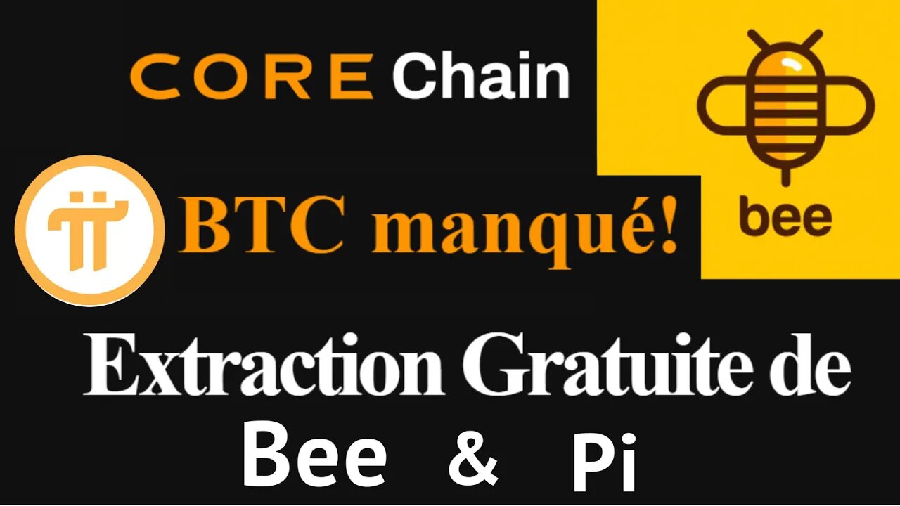 Gagner crypto minage Bee Network kyc walllet mainnet millionnaire