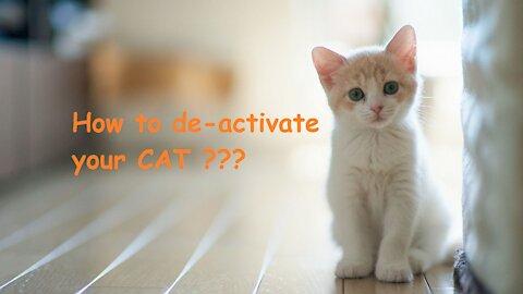 How to De-activate your Cat