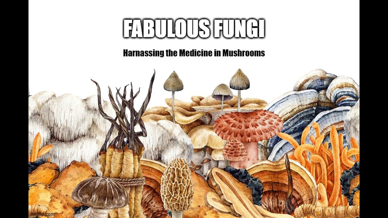 Fabulous Fungi: Harnassing the Medicine in Mushrooms