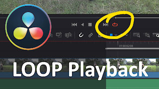 Davinci Resolve Quicktorial - LOOP Playback How-To