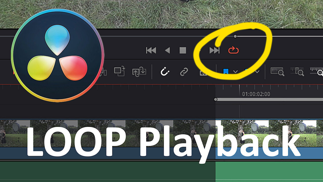 Davinci Resolve Quicktorial - LOOP Playback How-To