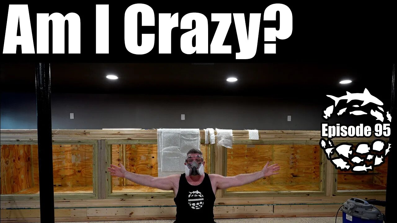 Am I Crazy to build a 4,500 Gallon DIY Aquarium?