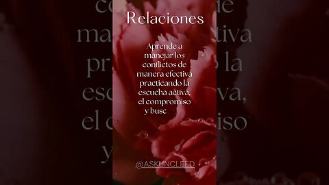 Consejos de Relaciones