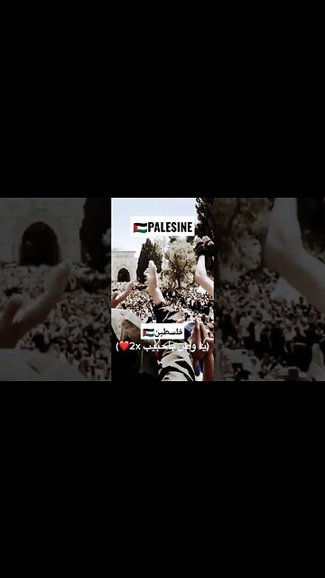 جنة جنة جنة تسلم يا وطنا 🇵🇸🇵🇸 #فلسطين