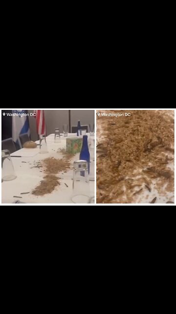 Maggots. Roaches. Radical Activists welcome Netanyahu to the WaterGate Hotel