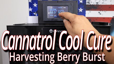 Cannatrol Cool Cure Harvest, Berry Burst End Of Run