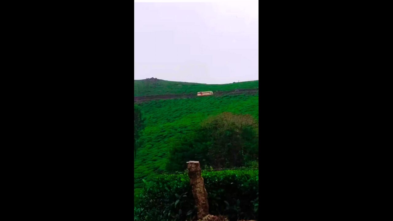 Kerala India Munnar Beautiful Location