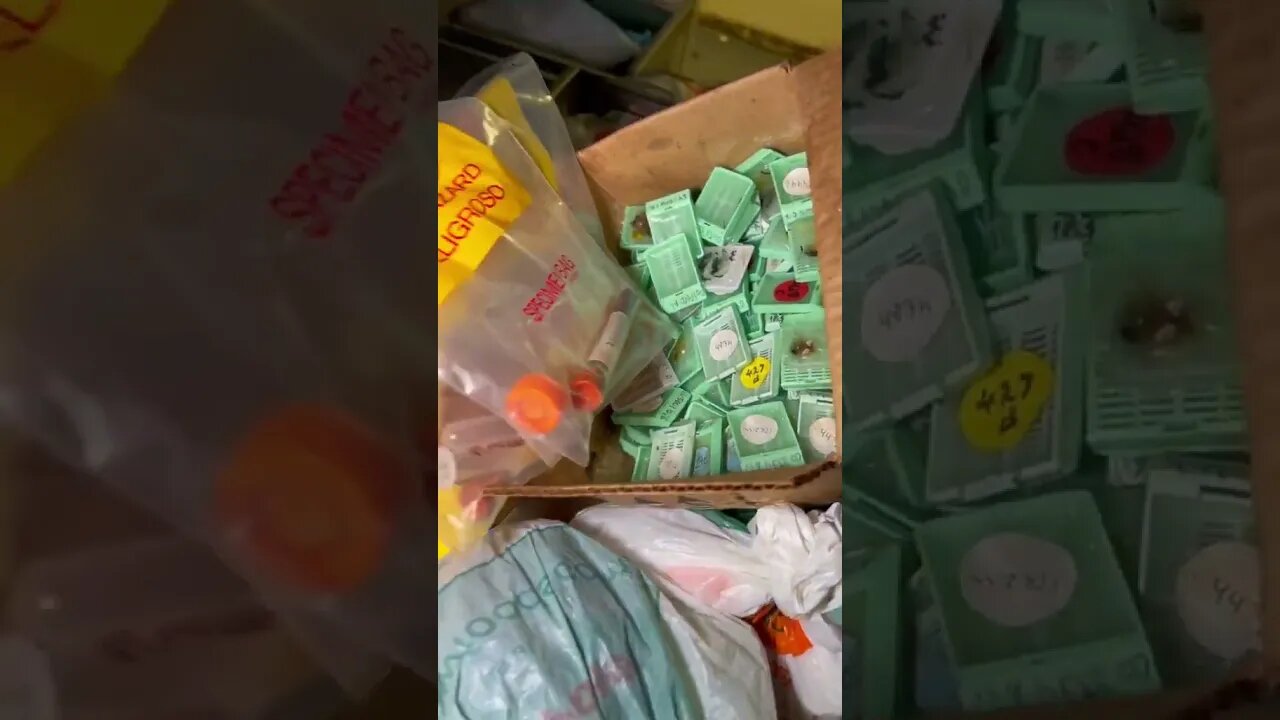 This Corrupt City Left Behind Biohazards ☣️