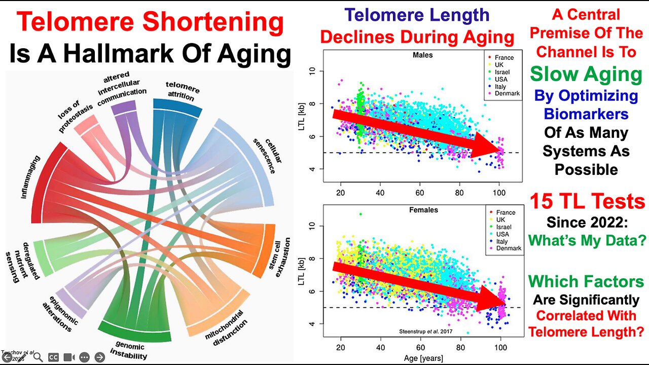 Telomere Length Test #15: Correlations With Diet