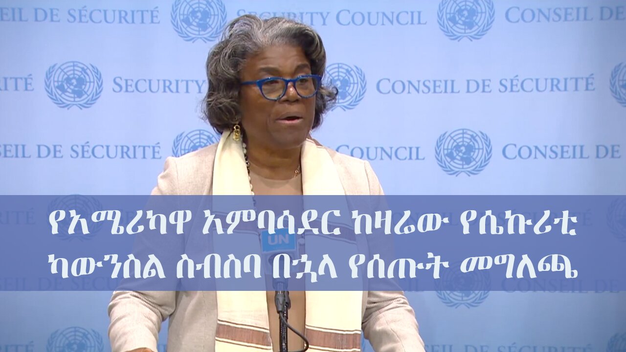 Remarks at the UN Security Council Stakeout Following a Closed Meeting on the Situation in Ethiopia