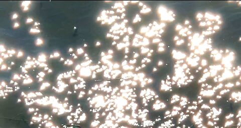 Light reflections turn Coosa River into a diamond field