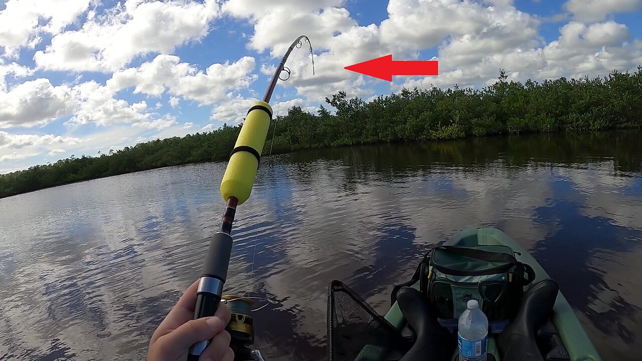 A NEW FISH On My NEW Kayak!