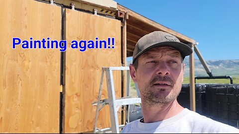 Painting the Cabin again!