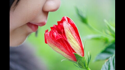 How Fragrant Are You