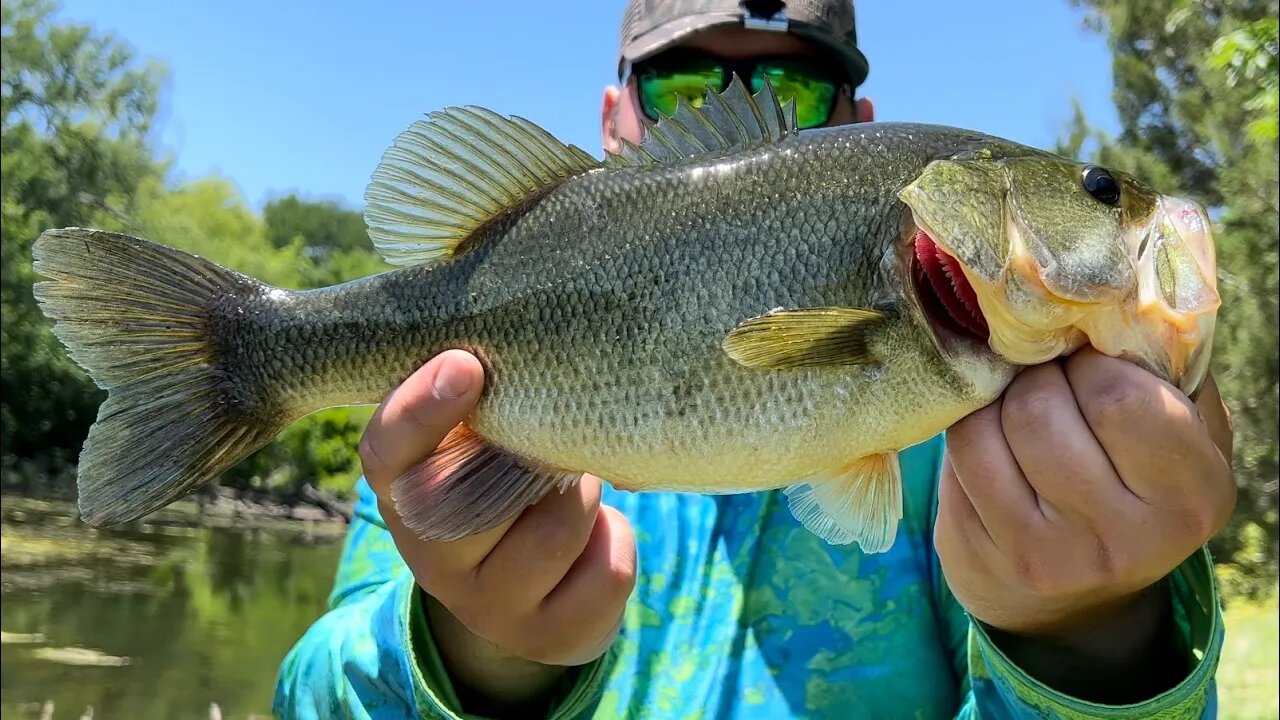 CRYSTAL CLEAR Water (Sight Fishing)