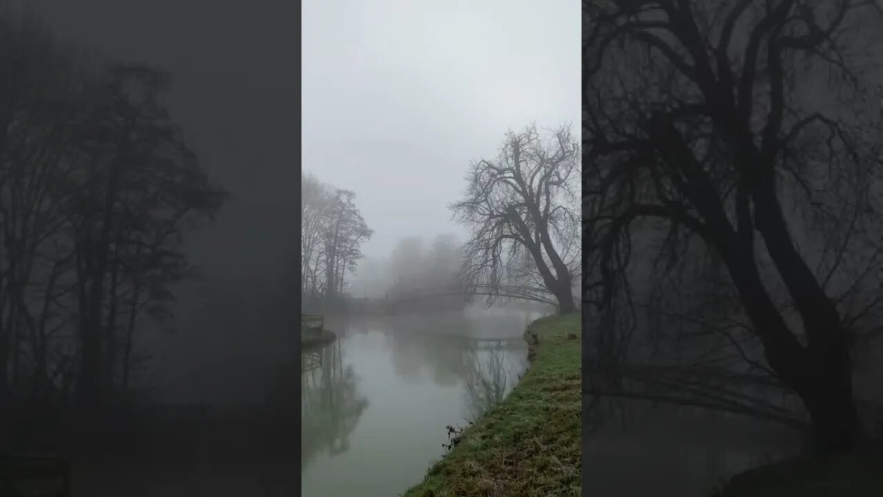 A Long, Misty Walk tiktok aevrynicole