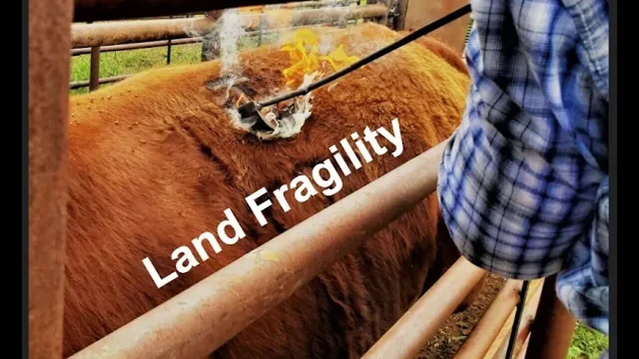 DROUGHT! | Fragile Ground | Repercussions of Drought | Land Management (In the Chute - Round 140)