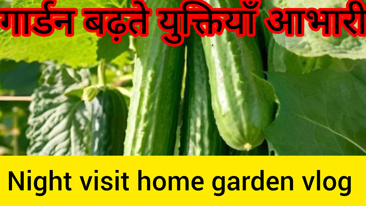 Night visit home garden gardening advice 😴 😊 the best person