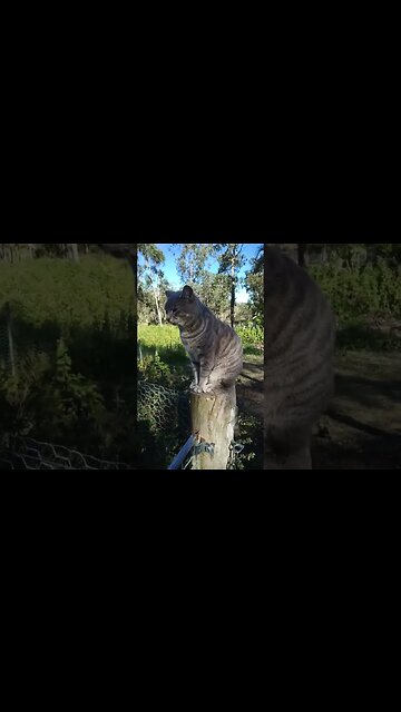 Good Morning Blue 22nd May 2023