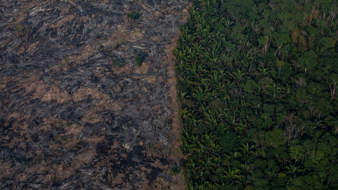 Brazil Says It's Now Open To Accepting International Aid For Fires