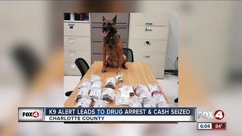 K-9 alert led to drug arrest and cash seized