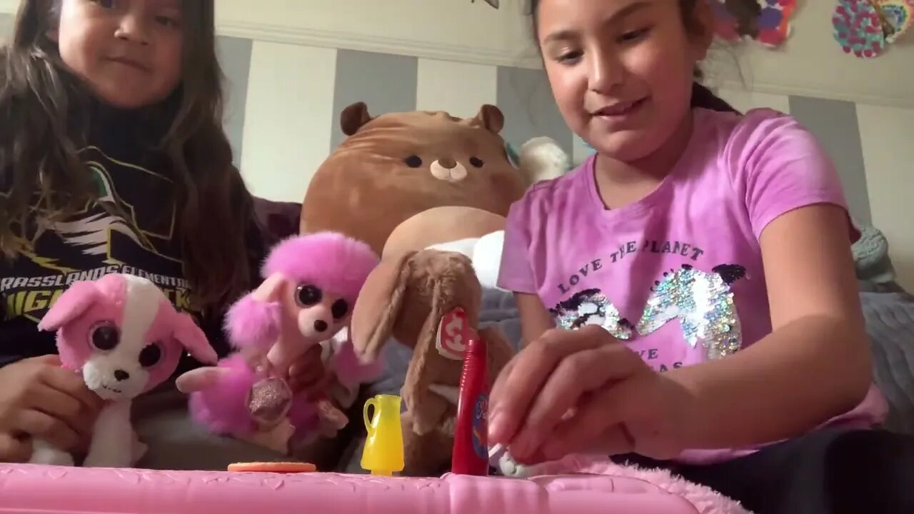 Beanie babies playing together with more friends part two with Aubrey and Savannah￼