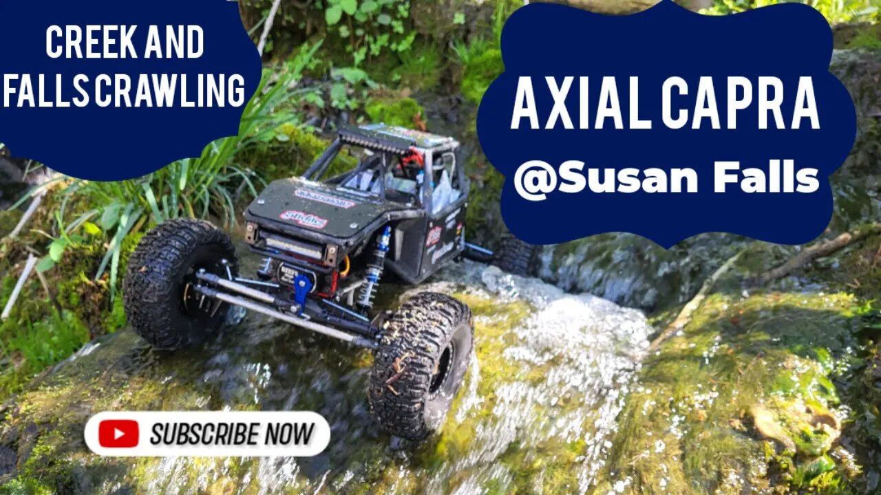 Axial Capra at Susan Falls, Kingsport Greenbelt in 4k