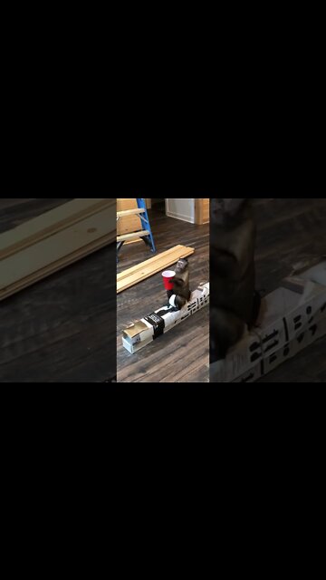 Y’all I’m working in the barn tonight Incase you didn’t see the #Shorts