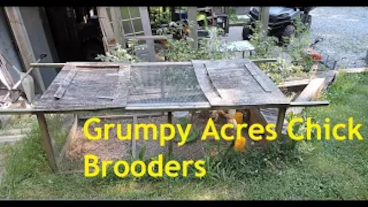 Grumpy Acres Brooders..