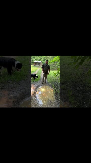 Can your flashlight do THIS? #shorts #light #adventure #waterproof #explore #gear