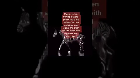 Which Do You See?