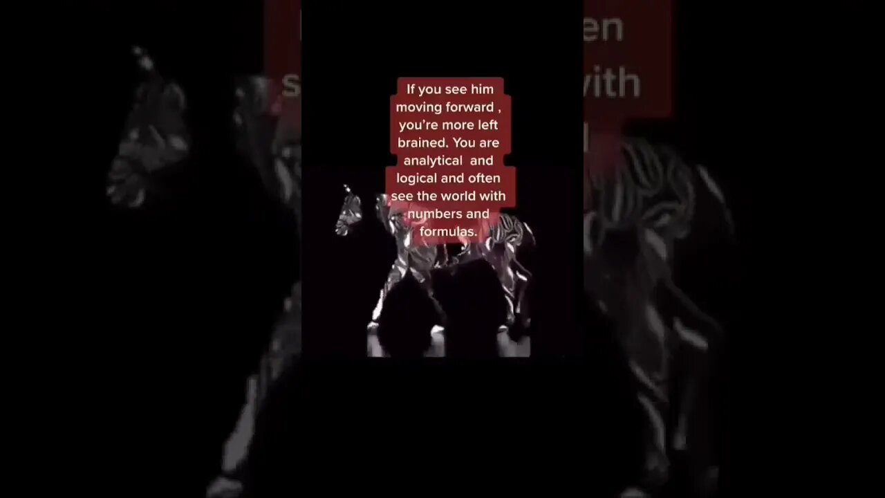 Which Do You See?