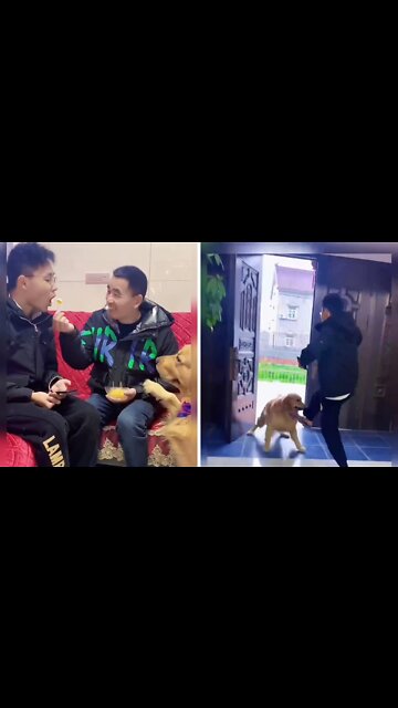 Driven out of the house by the dog