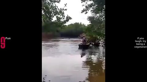 funny videos
