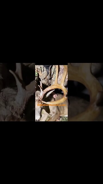 Finding 177” Buck With Drone Deer Recovery